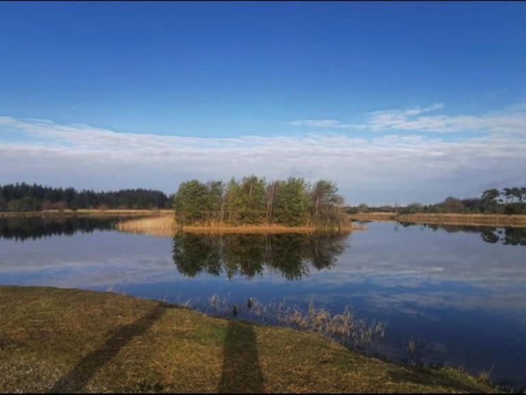 The Lodge - Rural Tipperary Bordering Kilkenny Ballingarry  Exteriér fotografie