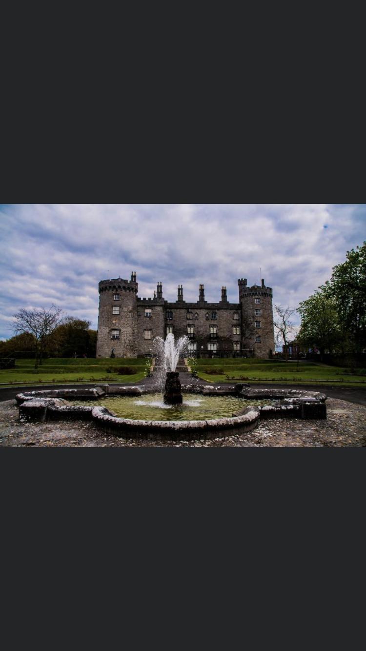 The Lodge - Rural Tipperary Bordering Kilkenny Ballingarry  Exteriér fotografie